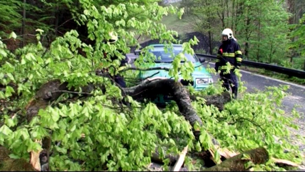 Šturec_nehoda_spadnutý strom_auto_nehoda_hasič na ceste